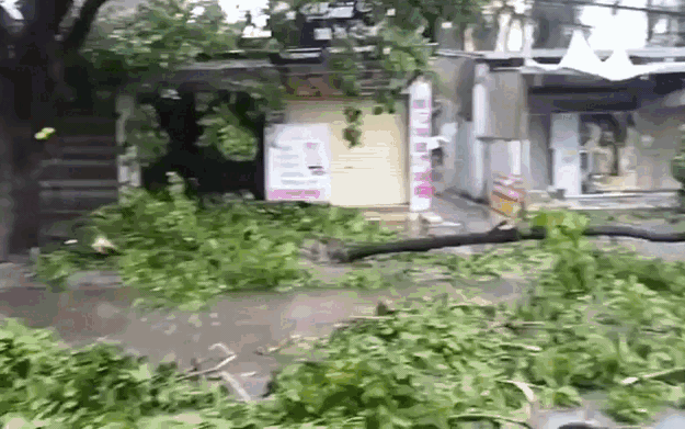 Cuồng phong đi qua, tan hoang ở lại - Ảnh 1.