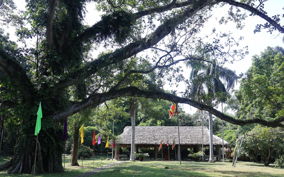 Nơi ghi dấu mùa thu lịch sử