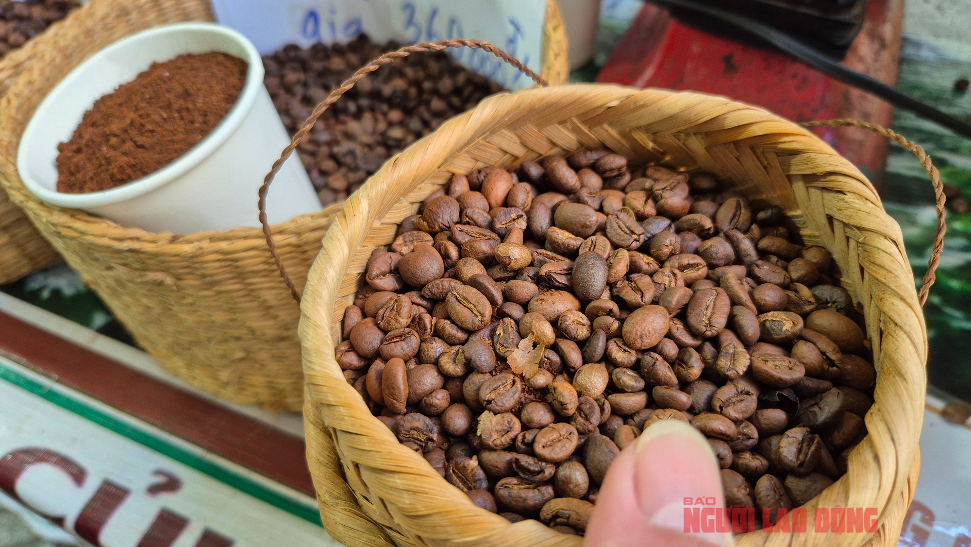 Giá cà phê hôm nay 29 - 8: Xu hướng giảm Giá và ảnh hưởng từ Mỹ - Ảnh 1.