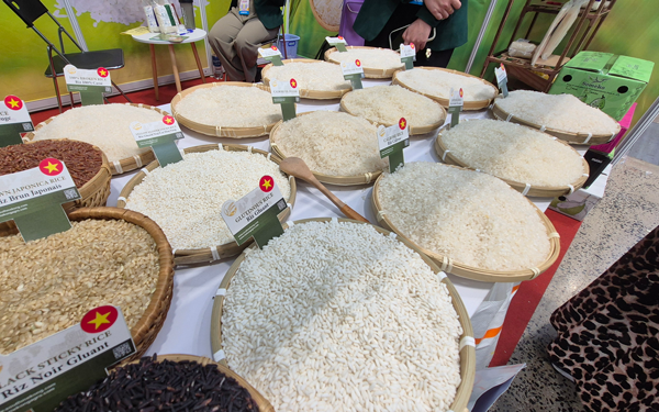 Lại lo đầu ra cho gạo