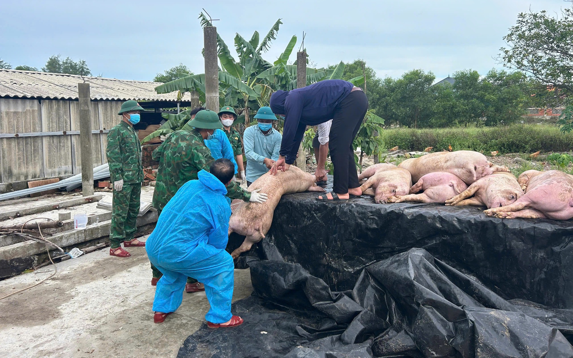 Một hộ dân ở Quảng Trị mất trắng hơn 300 triệu trong chốc lát