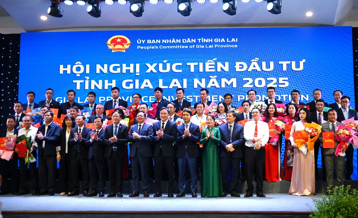 69 dự án, gần 120 ngàn tỉ đồng đầu tư vào Gia Lai- Ảnh 1.
