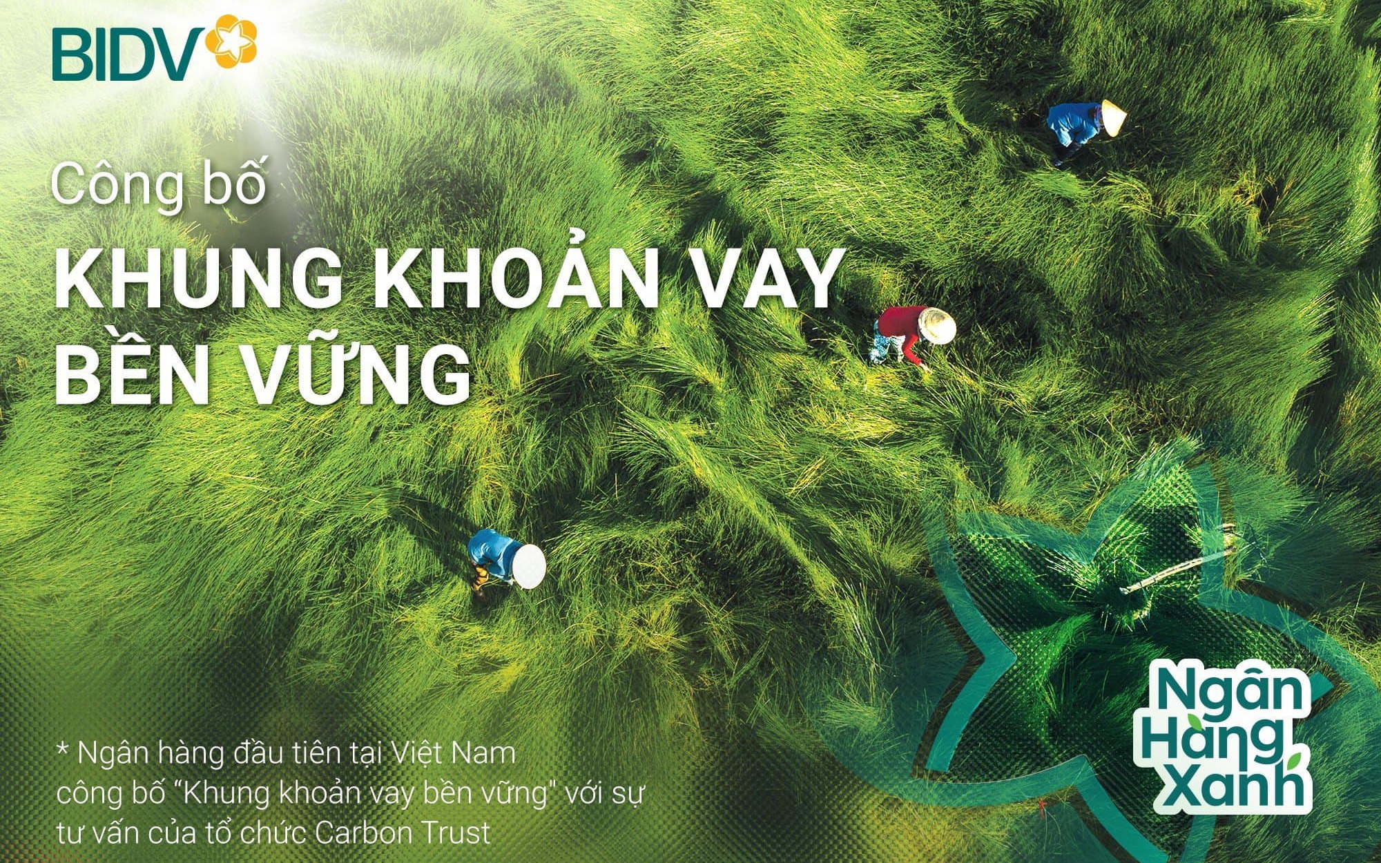 BID vào Top 20 cổ phiếu phát triển bền vững nhất Việt Nam lần thứ 2 liên tiếp