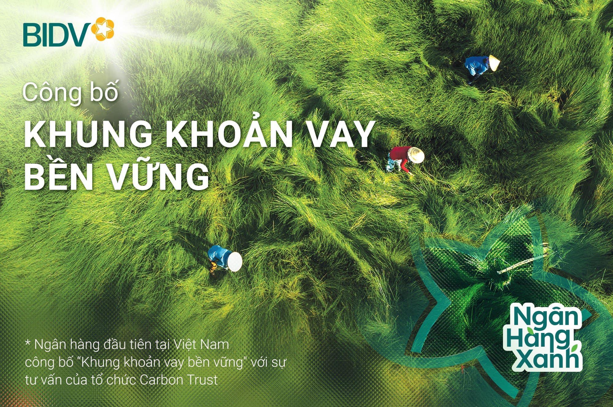 BID v&agrave;o Top 20 cổ phiếu ph&aacute;t triển bền vững nhất Việt Nam lần thứ 2 li&ecirc;n tiếp- Ảnh 1.