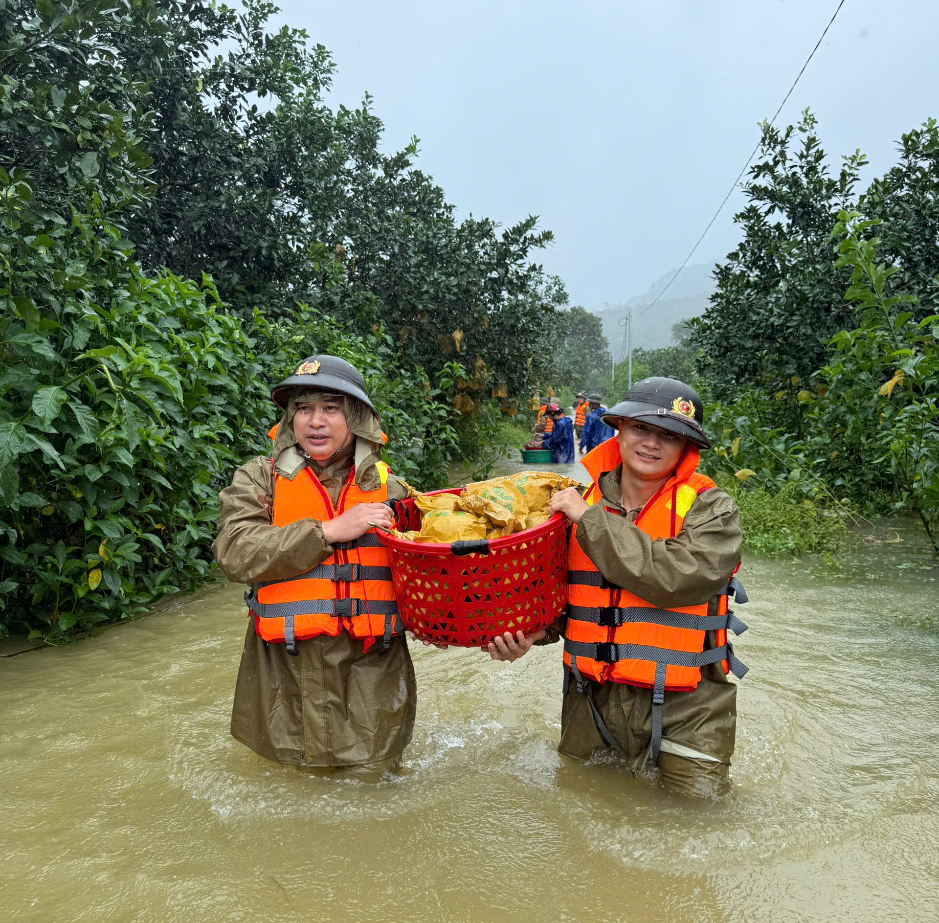 C&ocirc;ng an ng&acirc;m m&igrave;nh trong nước lũ gi&uacute;p d&acirc;n thu hoạch bưởi- Ảnh 4.