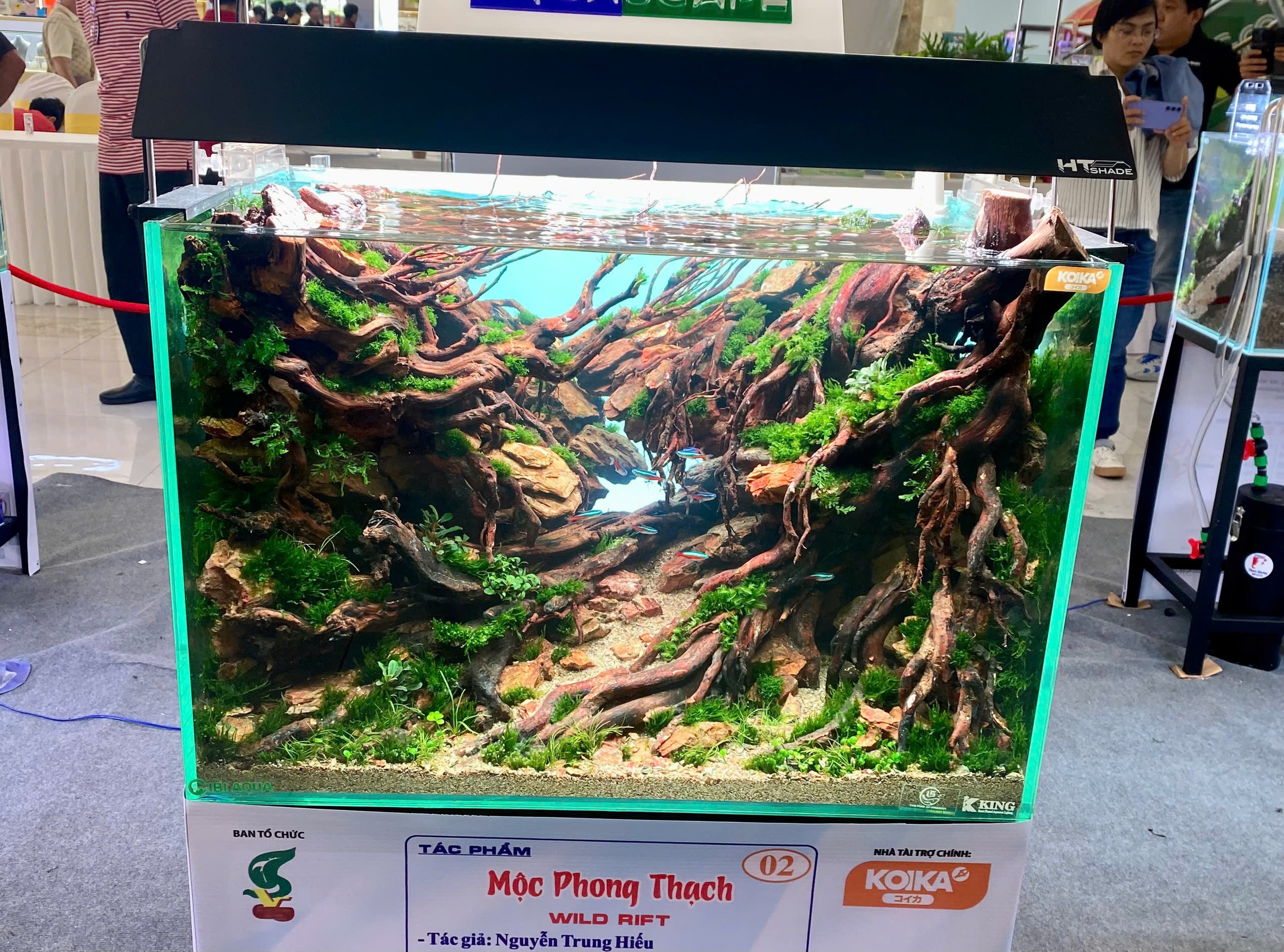 Lần đầu chi&ecirc;m ngưỡng "ng&oacute;n nghề" thủy sinh của c&aacute;c cao thủ thế giới- Ảnh 6.
