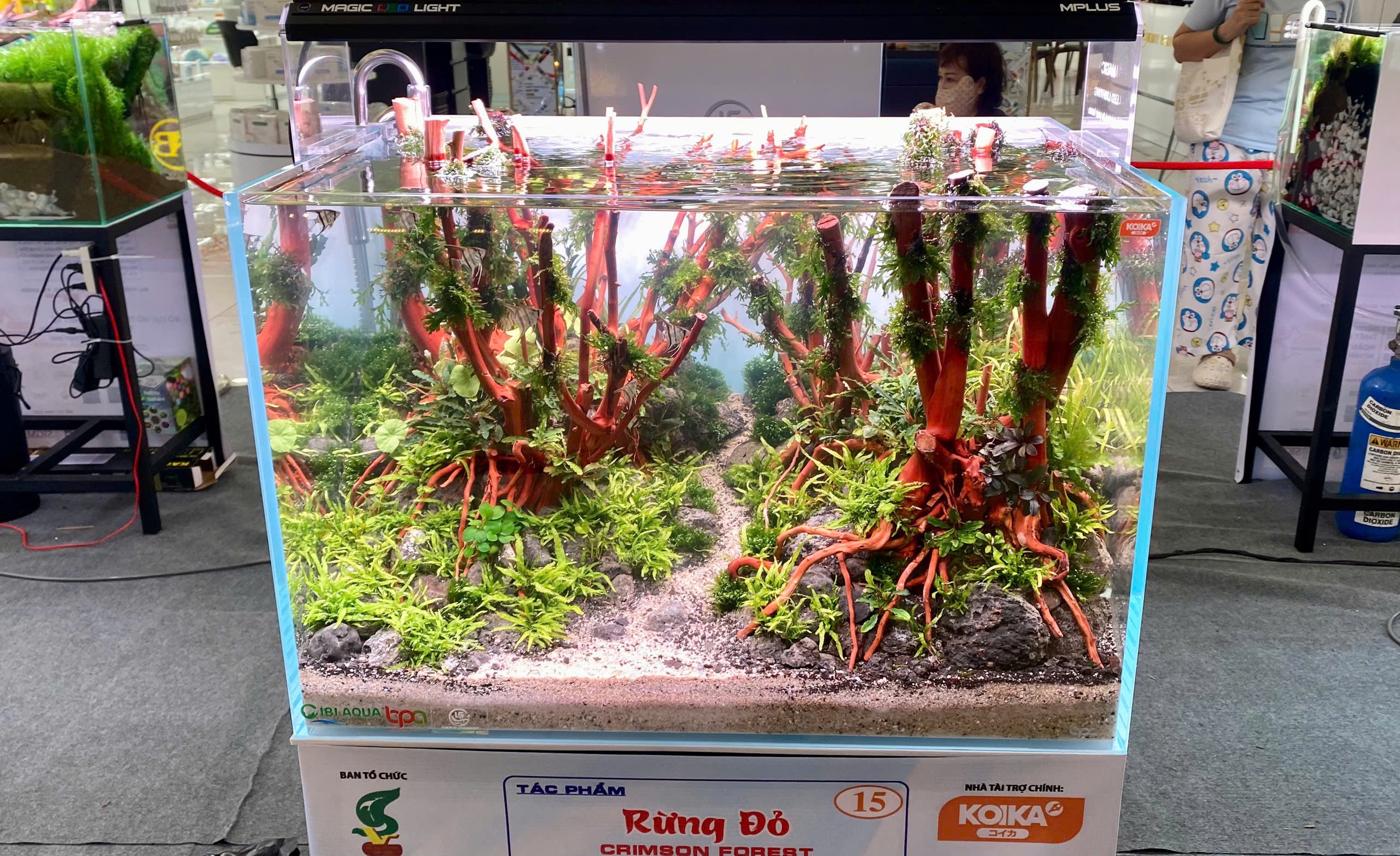 Lần đầu chi&ecirc;m ngưỡng "ng&oacute;n nghề" thủy sinh của c&aacute;c cao thủ thế giới- Ảnh 5.