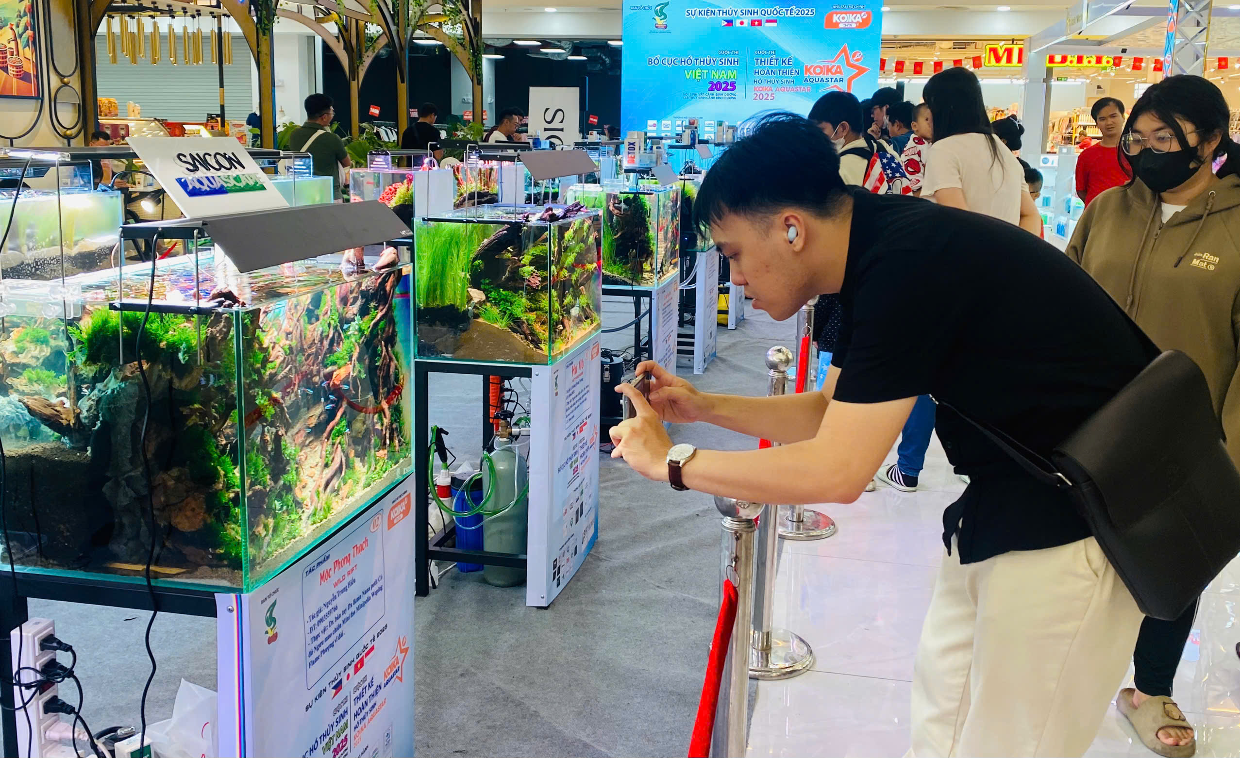 Lần đầu chi&ecirc;m ngưỡng "ng&oacute;n nghề" thủy sinh của c&aacute;c cao thủ thế giới- Ảnh 1.