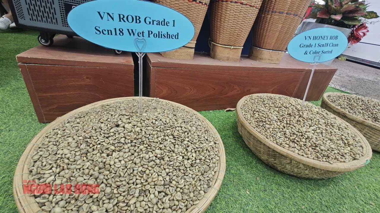 Gi&aacute; c&agrave; ph&ecirc; h&ocirc;m nay 5-8: Sắp vượt 100.000 đồng/kg, xuất khẩu lập kỷ lục - Ảnh 1.