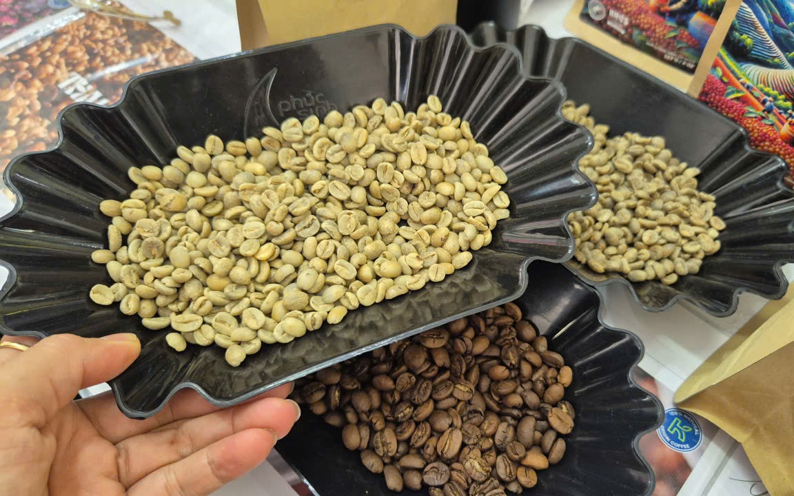 Giá cà phê hôm nay 4-8: Giá trong nước cao hơn thế giới 13.000 đồng/kg
