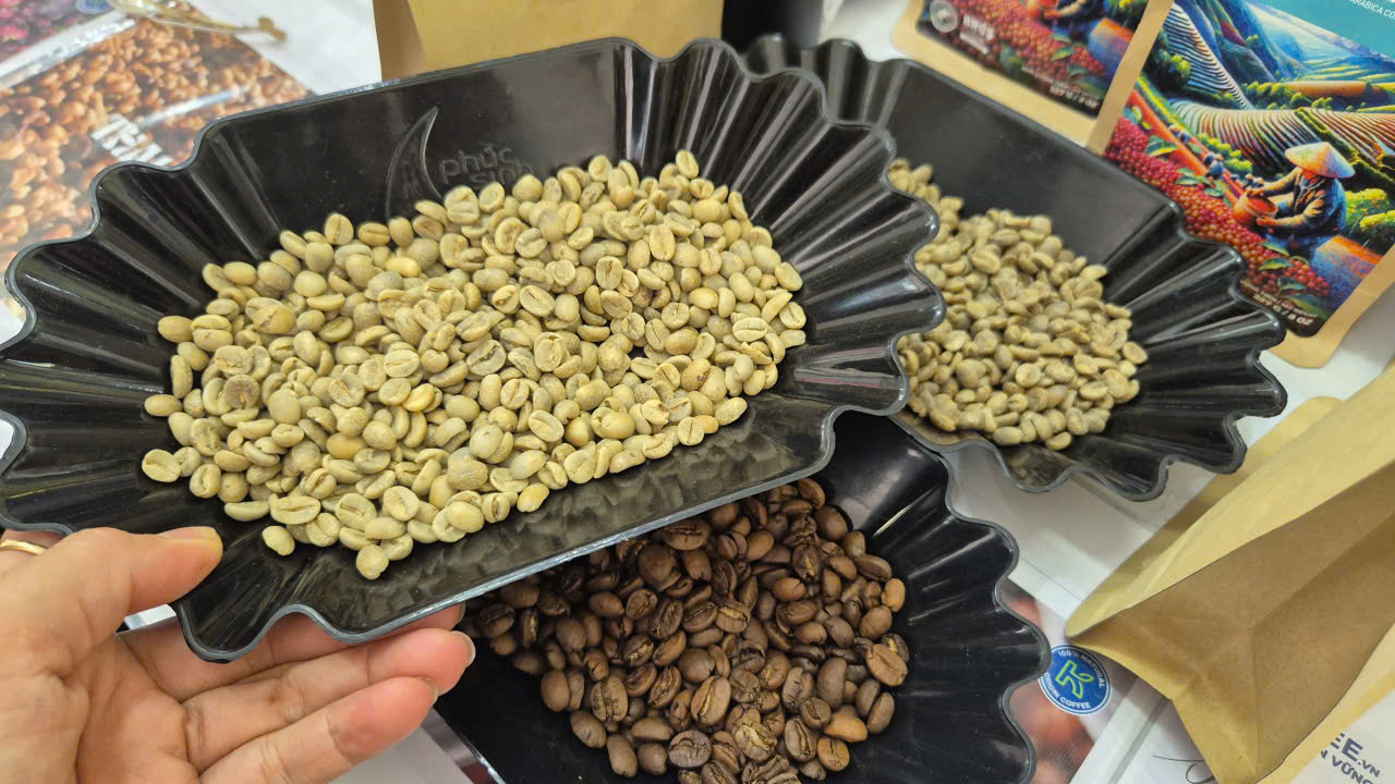 Gi&aacute; c&agrave; ph&ecirc; h&ocirc;m nay 4-8: Gi&aacute; trong nước cao hơn thế giới 13.000 đồng /kg - Ảnh 2.