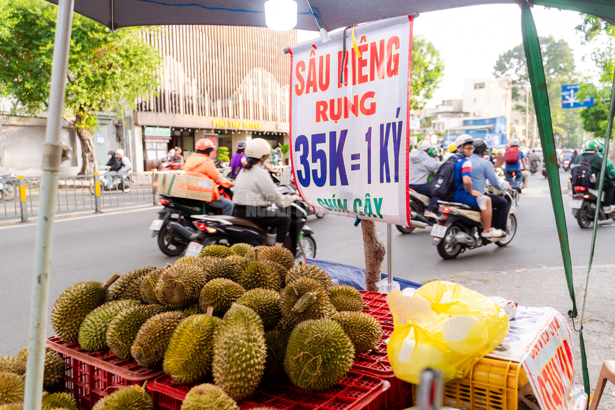 VIDEO: Thực hư sầu ri&ecirc;ng gi&aacute; 35.000 đồng/k&yacute; tại TP HCM - Ảnh 4.