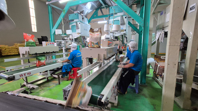 Xuất khẩu gạo Việt Nam đối mặt th&aacute;ch thức trong bối cảnh cạnh tranh to&agrave;n cầu - Ảnh 1.