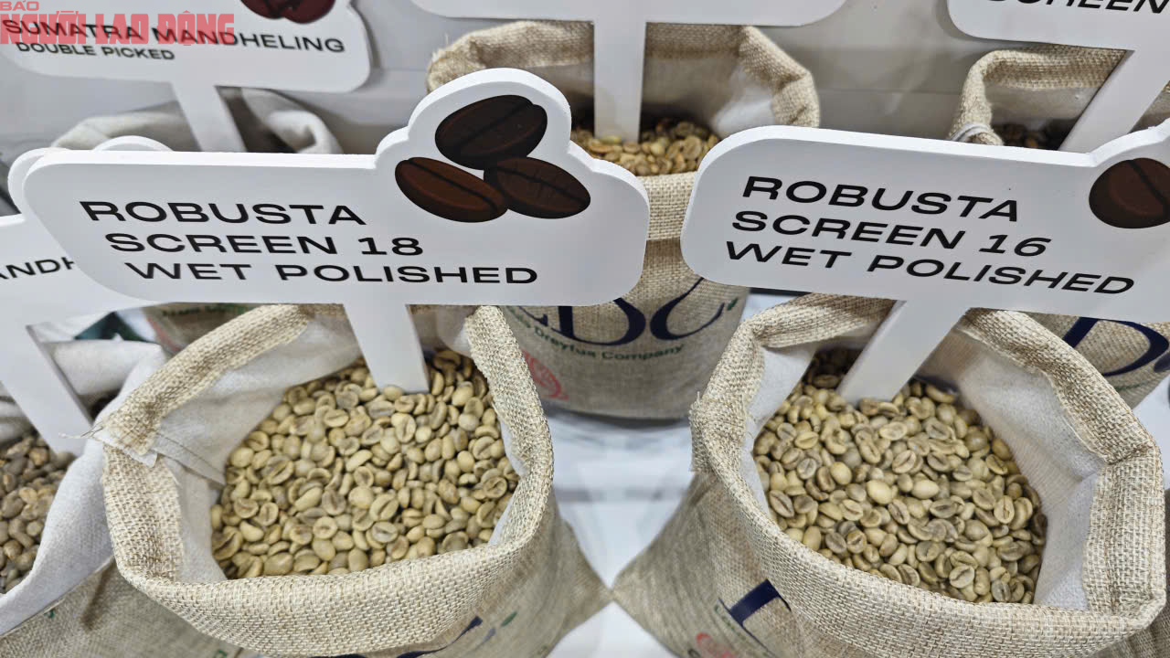 Giá cà phê hôm nay 7-8: Cà phê trong nước vững bước trên 100.000 đồng/kg- Ảnh 1.
