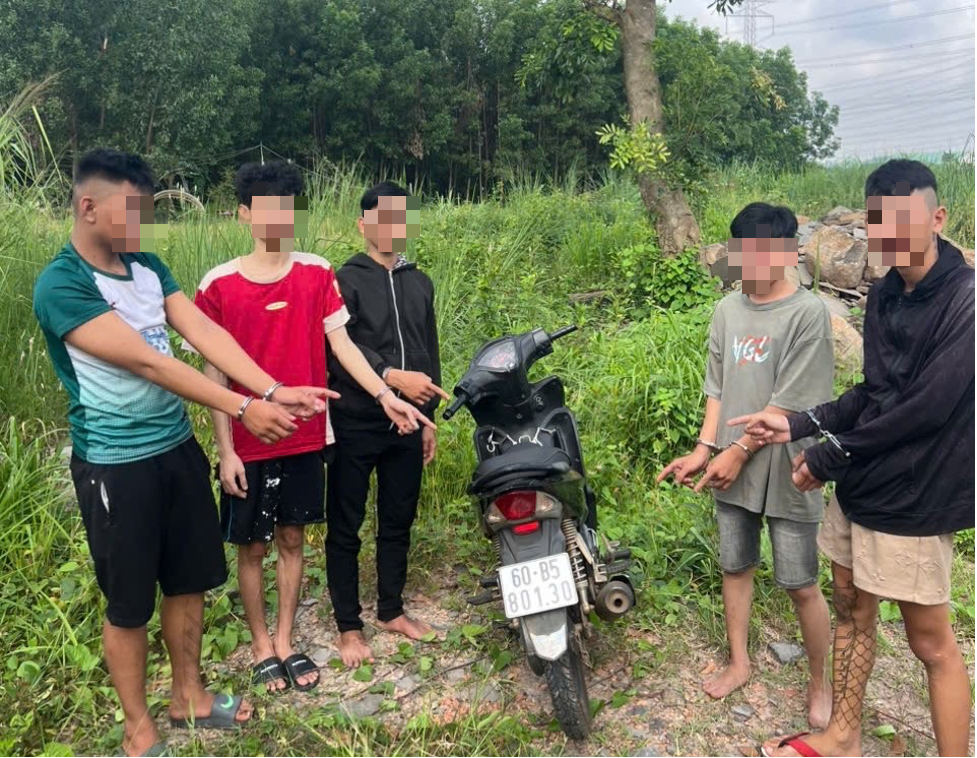 Bắt nhanh nhóm cướp tài sản cực kỳ manh động ở Đồng Nai- Ảnh 1.