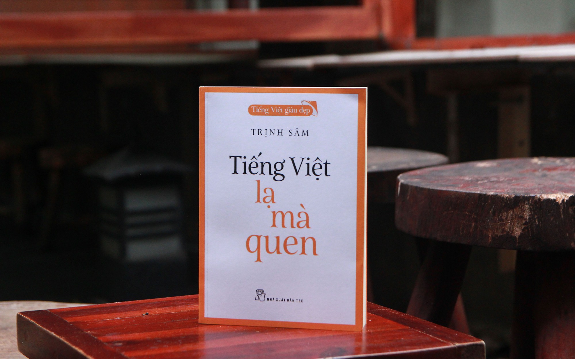 Bao la t&igrave;nh y&ecirc;u tiếng Việt - Ảnh 2.