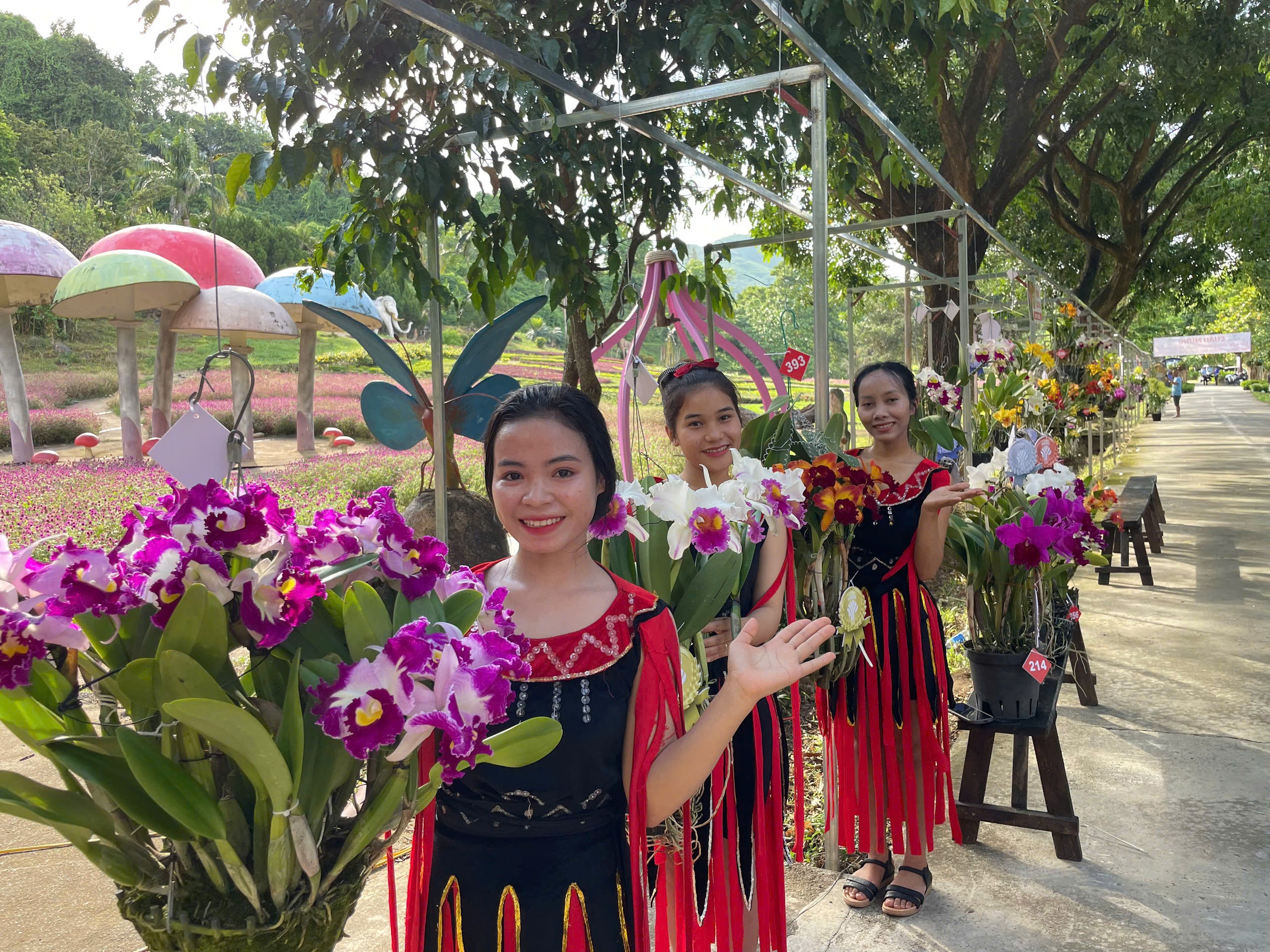 Ngắm kiệt tác thiên nhiên hoa lan mùa hạ tại Khánh Hòa- Ảnh 1.