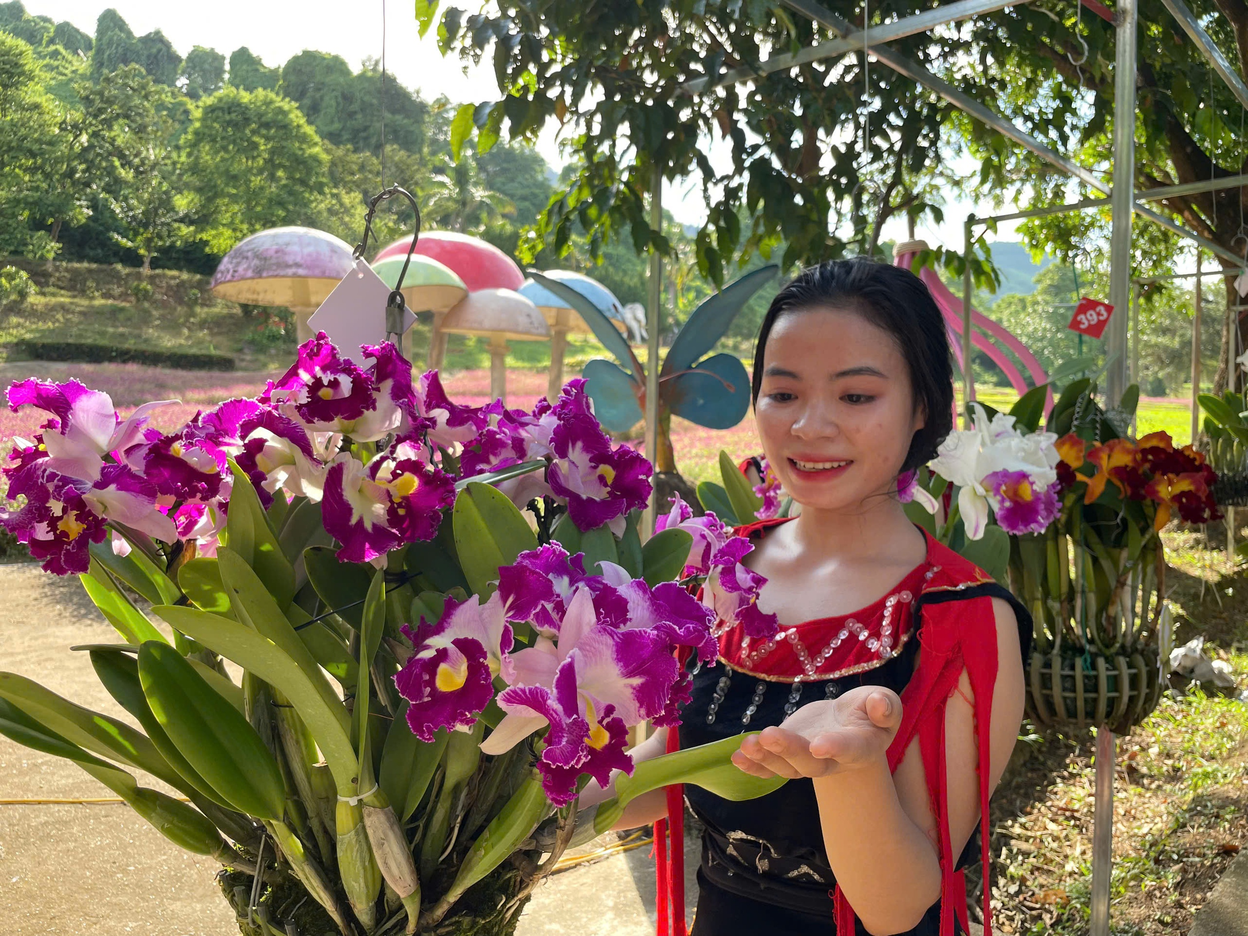 Ngắm kiệt tác thiên nhiên hoa lan mùa hạ tại Khánh Hòa- Ảnh 2.