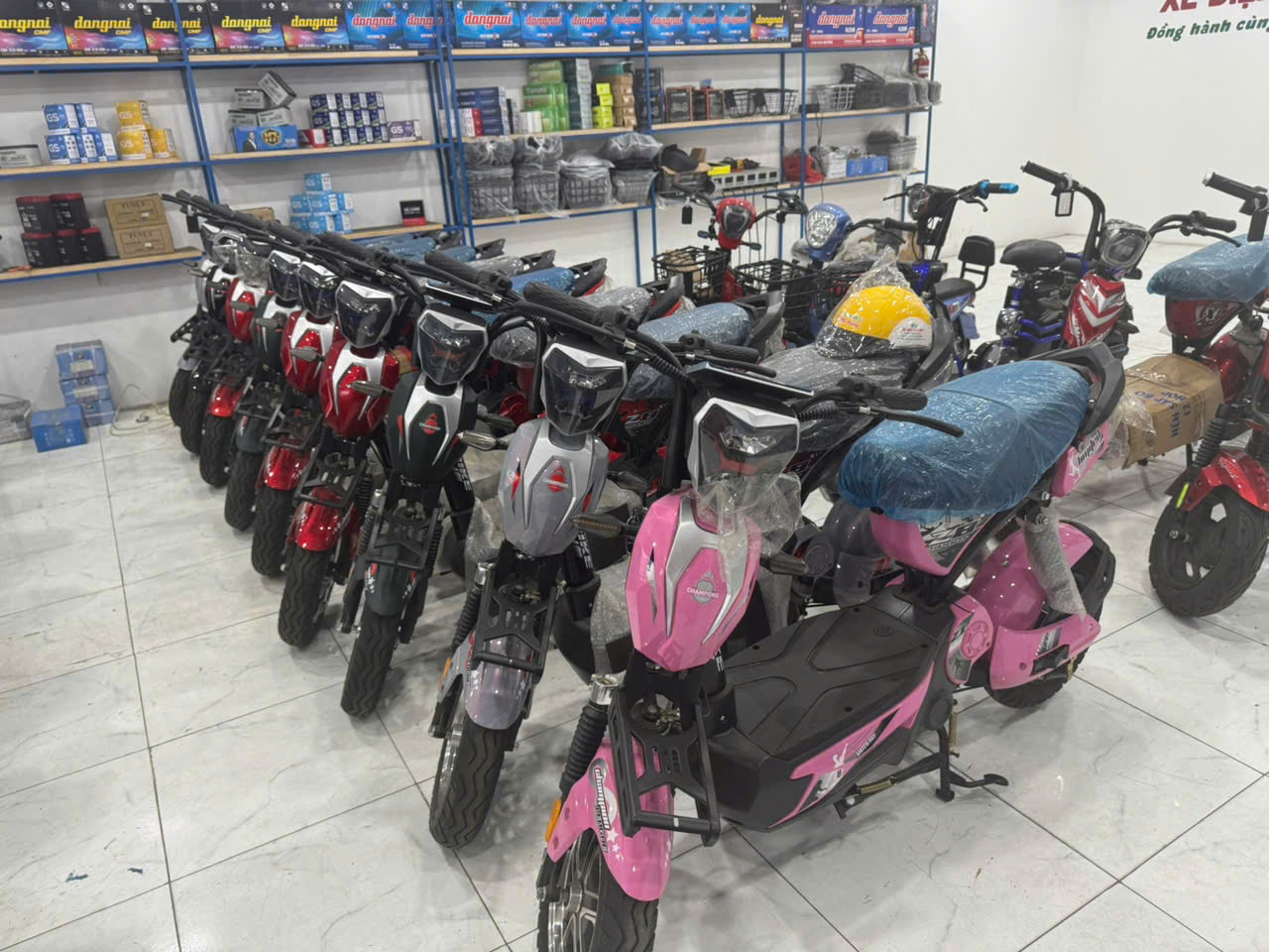 Xe m&aacute;y điện giả, k&eacute;m chất lượng t&aacute;i xuất: Cẩn trọng trước cơn sốt chuyển đổi xe xăng- Ảnh 2.