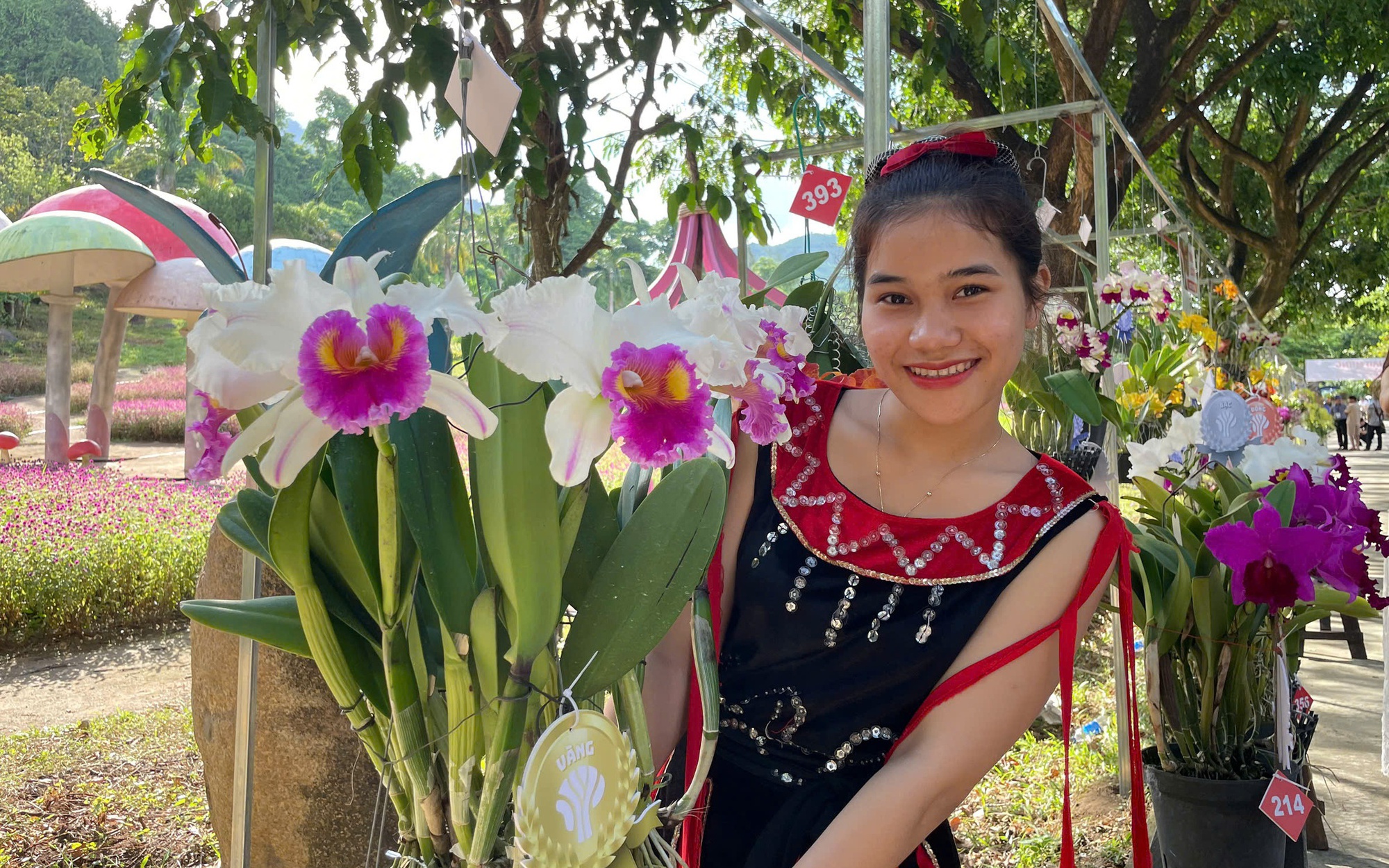 Ngắm kiệt tác thiên nhiên hoa lan mùa hạ tại Khánh Hòa