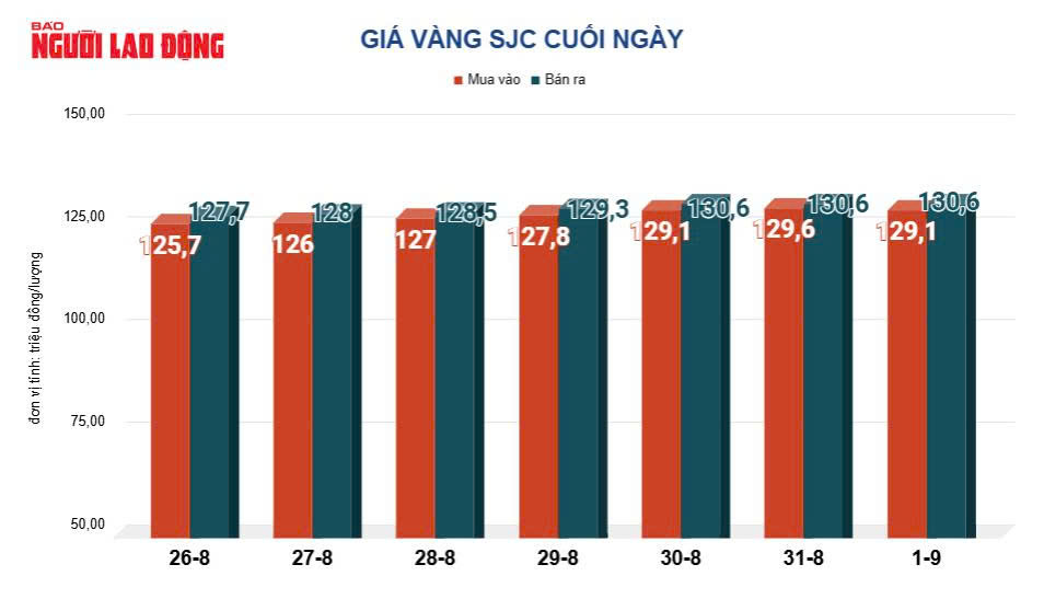 Giá vàng hôm nay 2-9: Biến động mạnh do loạt dữ liệu kinh tế từ Mỹ- Ảnh 2.