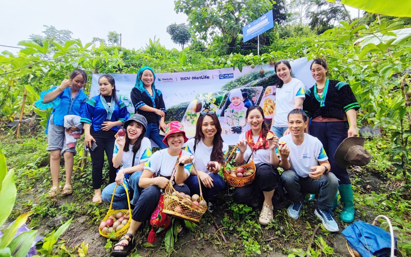 BIDV MetLife cùng Plan International ghi dấu thành quả dự án nông nghiệp bền vững tại Lai Châu