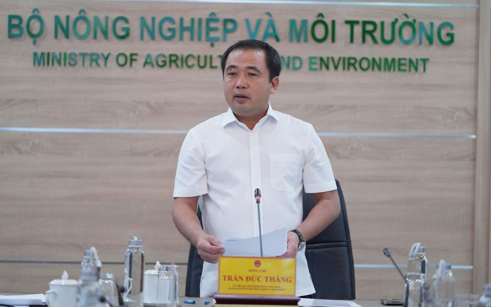 Sản phẩm chế biến từ gạo c&ograve;n nhiều dư địa - Ảnh 2.