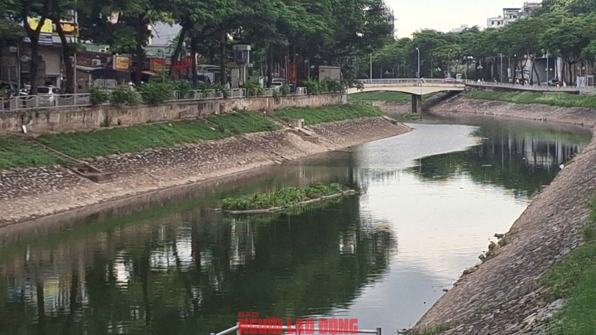 VIDEO: Người dân ngỡ ngàng ngắm dòng nước trong xanh của sông Tô Lịch- Ảnh 7.
