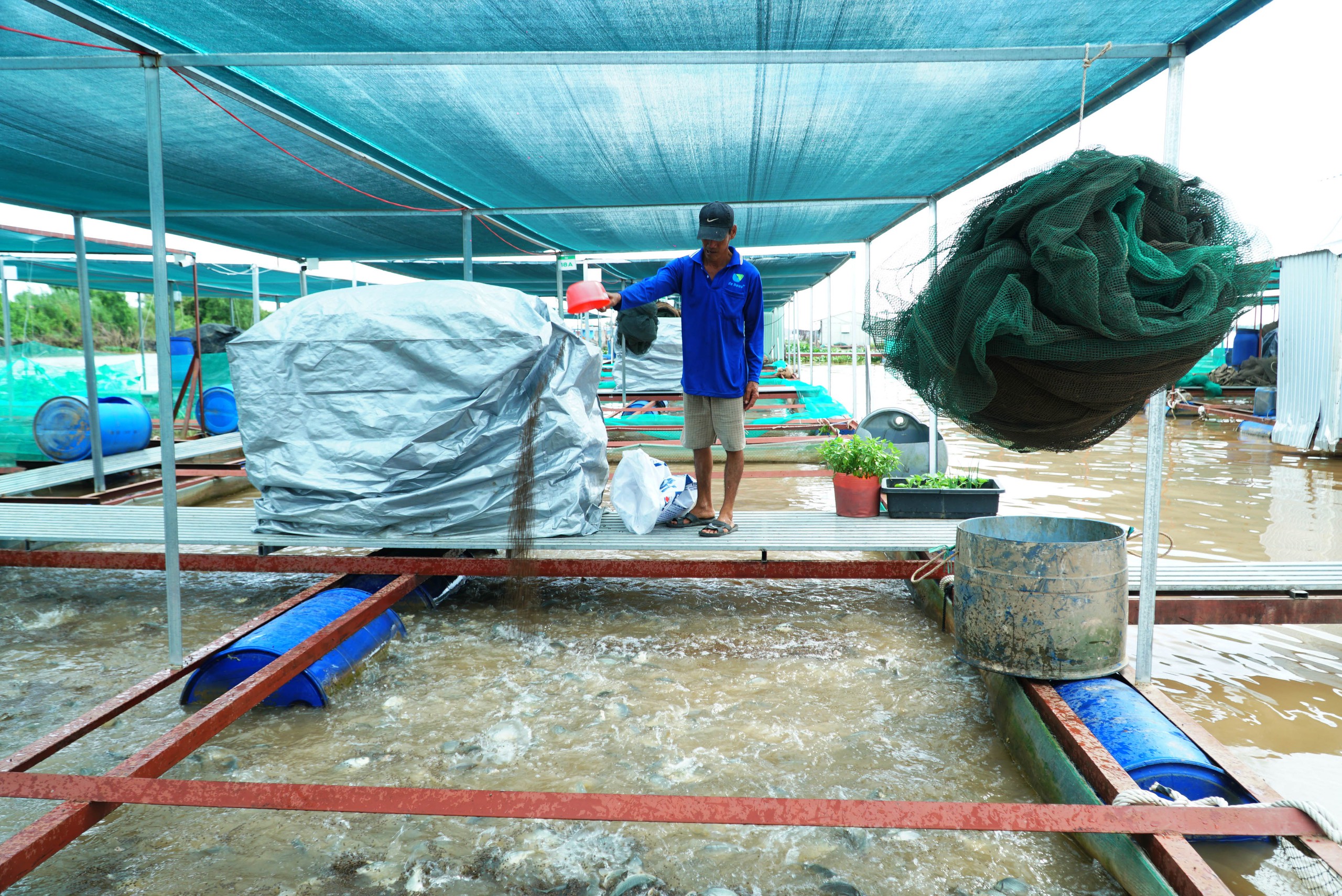 VIDEO: Ấn tượng 1.960 lồng b&egrave; nu&ocirc;i c&aacute; sử dụng c&ocirc;ng nghệ AI ở Vĩnh Long - Ảnh 5.