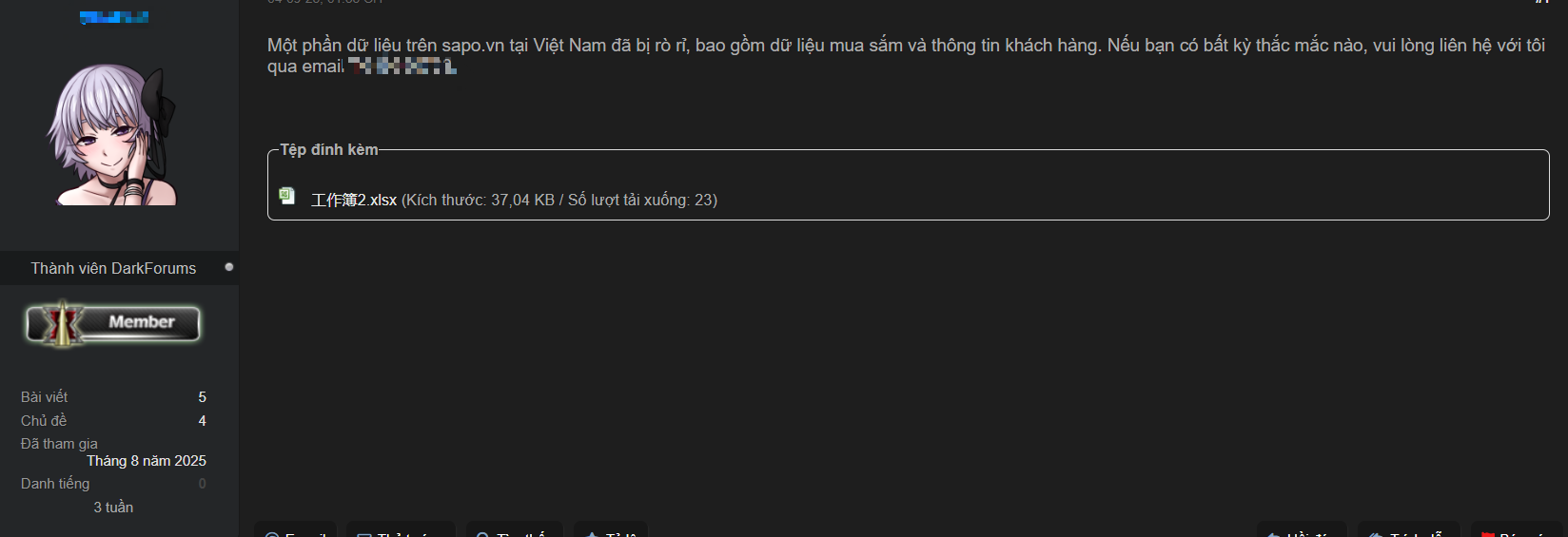 Dữ liệu của hai doanh nghiệp Việt bất ngờ bị hacker rao b&aacute;n tr&ecirc;n web đen - Ảnh 2.