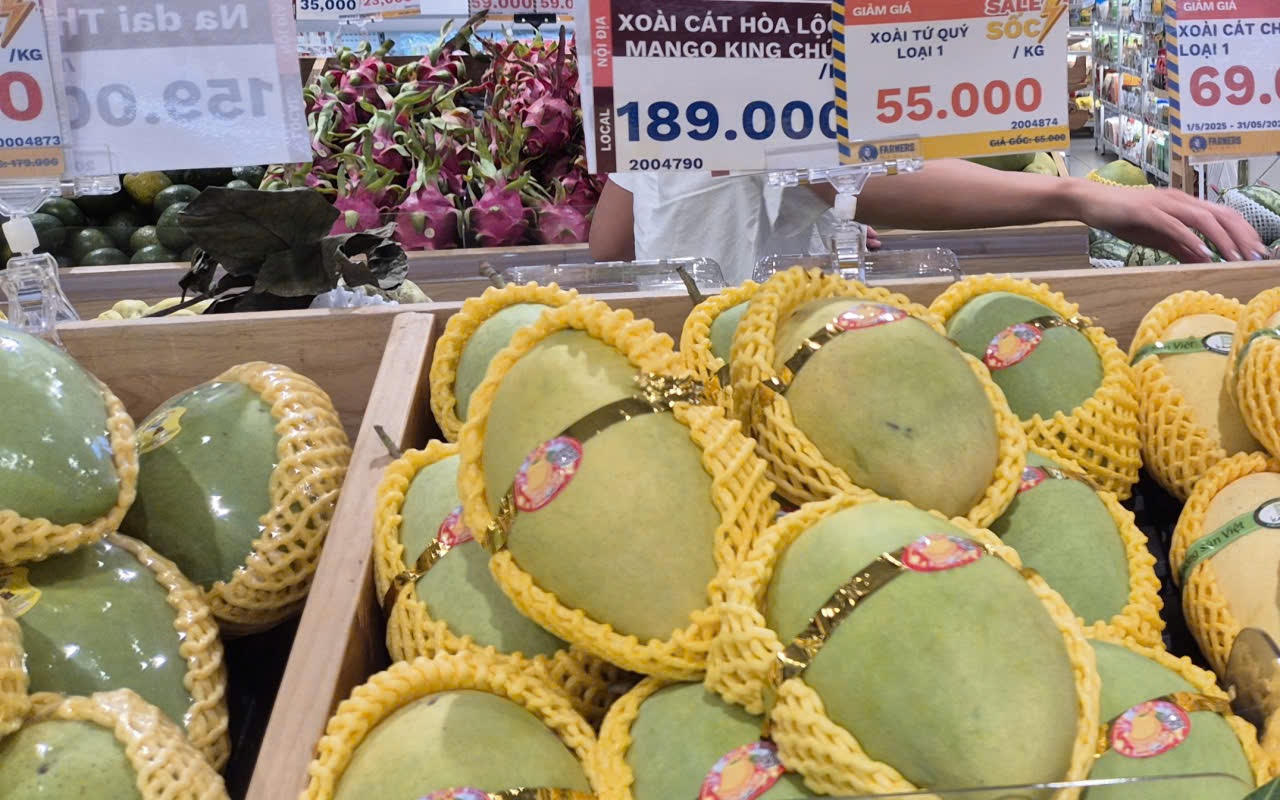 Xoài cát Hòa Lộc giá cao ngất, xuất khẩu "đứng hình"