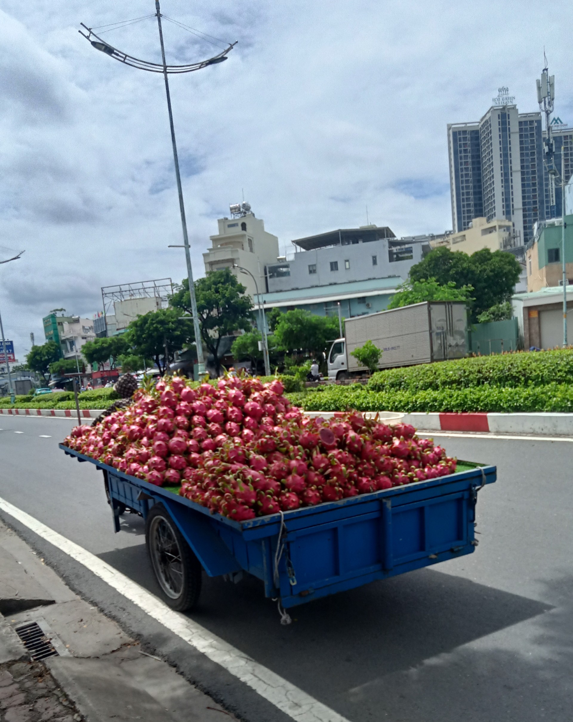 V&ocirc; tư chạy ngược chiều- Ảnh 1.