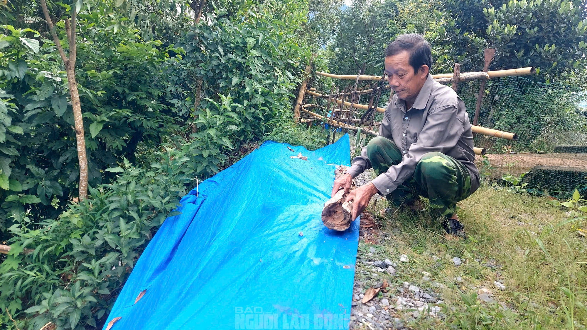 Giải ph&aacute;p ngăn sạt lở suối A Ch&ugrave;m tại x&atilde; Lao Bảo Quảng Trị - Ảnh 8.