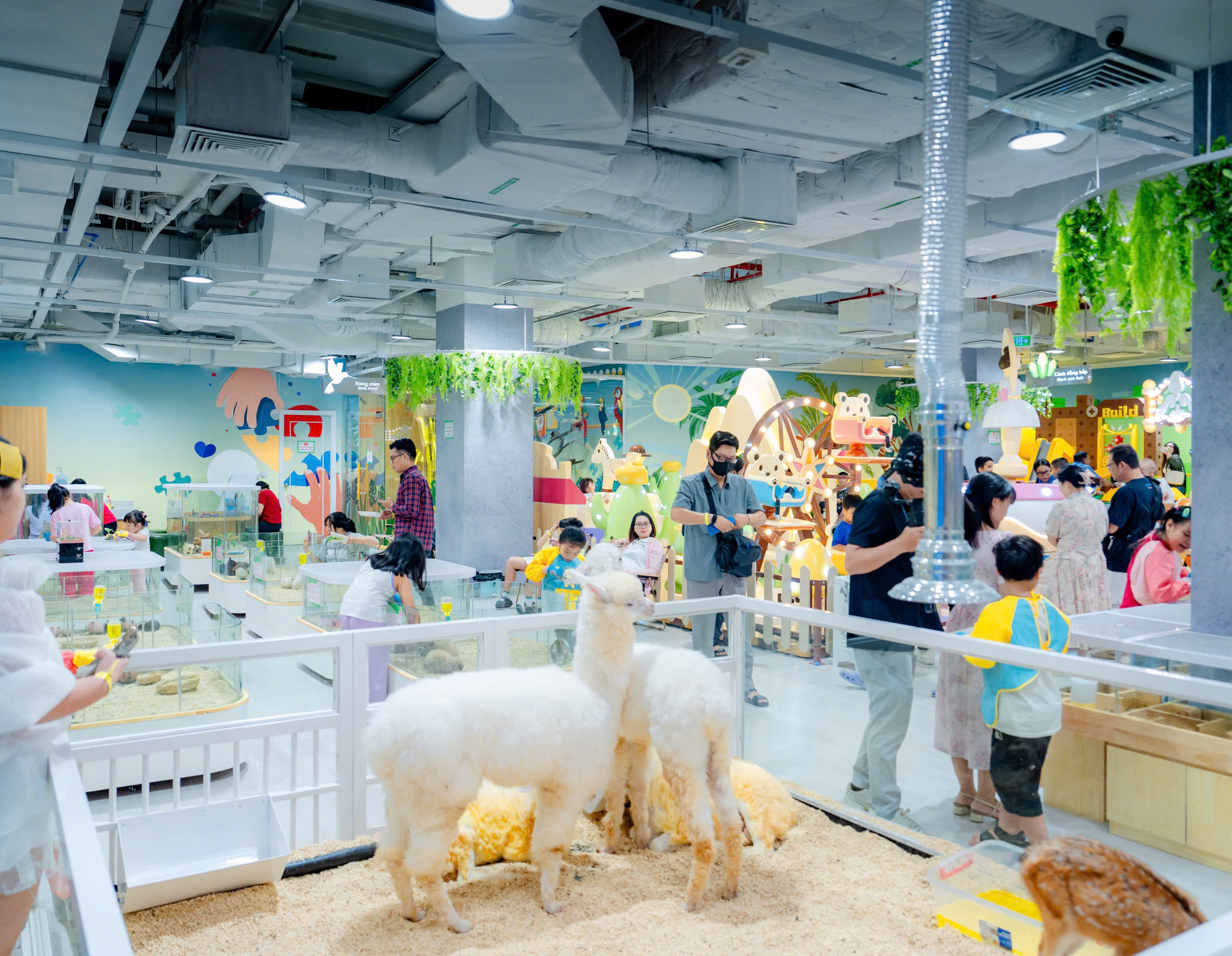 SC VivoCity kỷ niệm 10 năm gắn kết kh&aacute;ch h&agrave;ng- Ảnh 3.