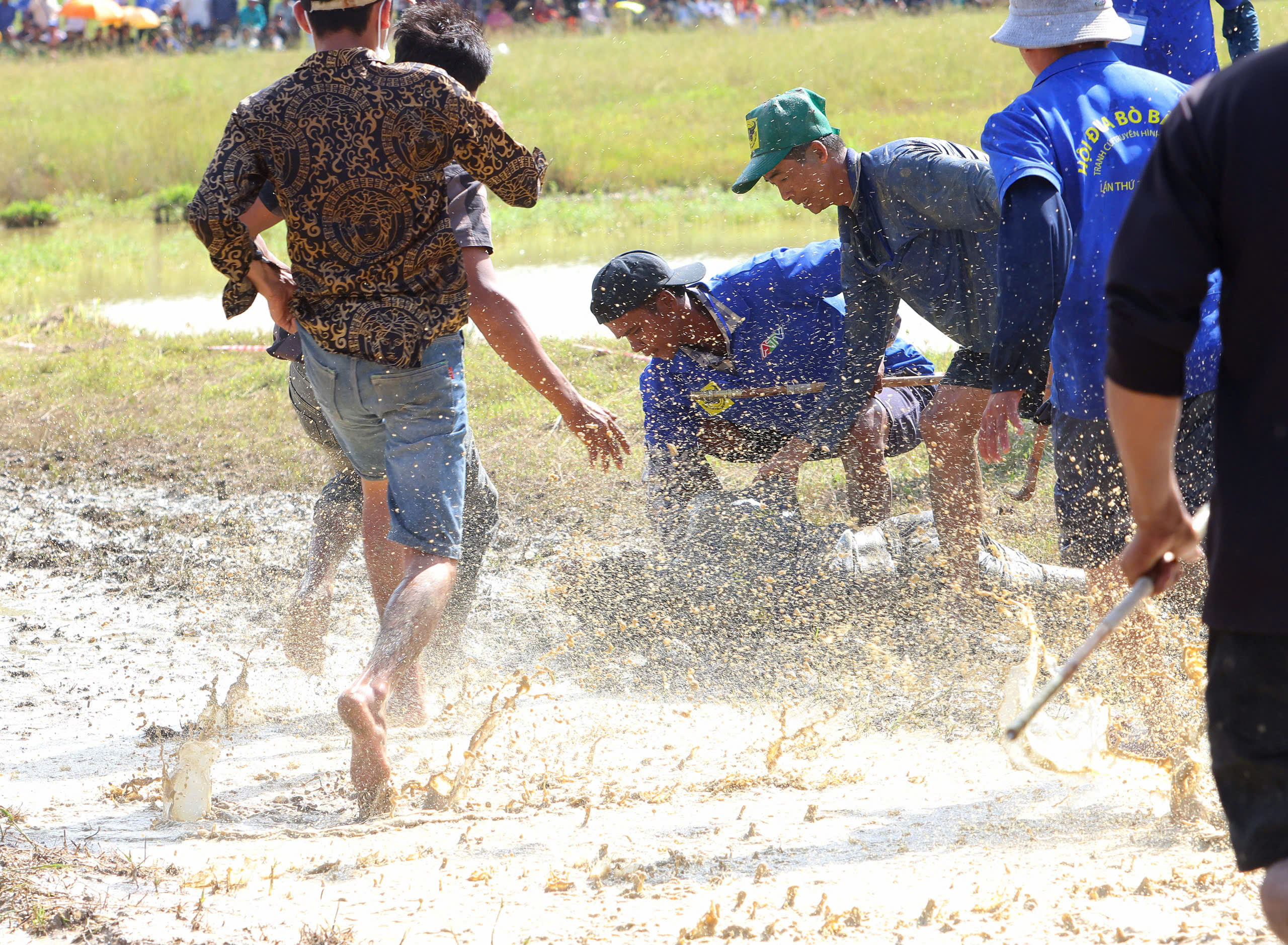 Náo nhiệt Hội Đua bò Bảy Núi An Giang - Ảnh 7.