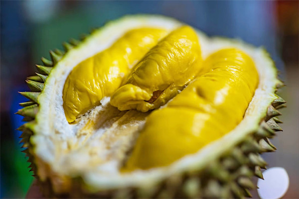 Gia đ&igrave;nh du kh&aacute;ch ăn sầu ri&ecirc;ng 5 , 5 kg trước giờ bay ở Chiang Mai - Ảnh 4.