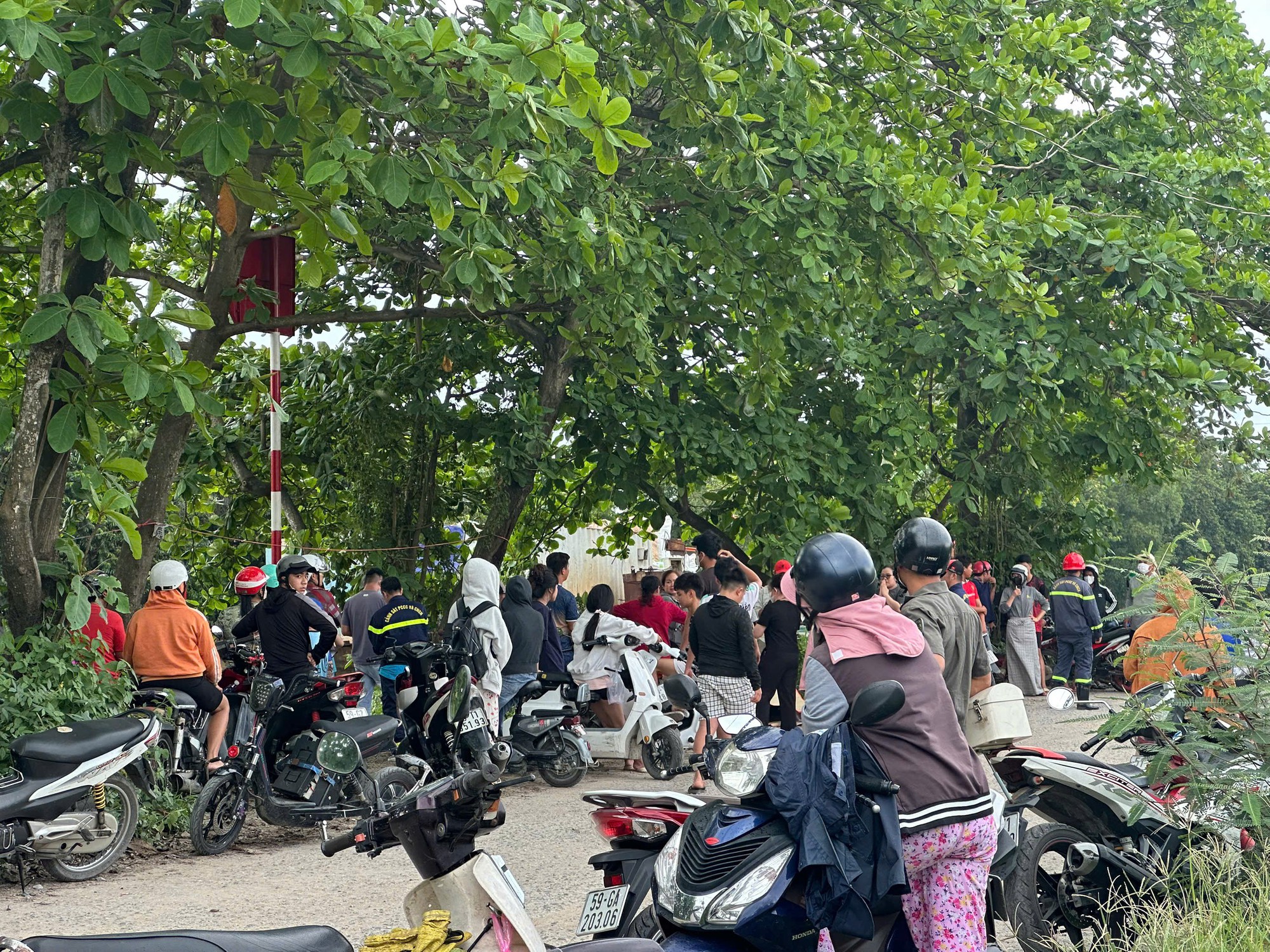 Thi thể nam sinh dưới ch&acirc;n cầu ở TP HCM- Ảnh 1.