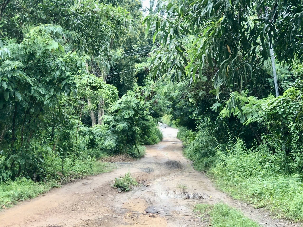 Nghi &aacute;n con trai s&aacute;t hại mẹ, tấn c&ocirc;ng chị g&aacute;i- Ảnh 1.