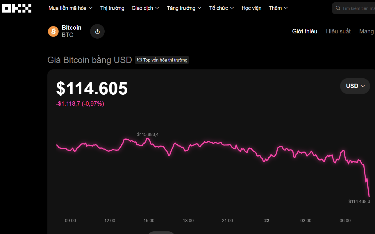 Vietnamese companies emerge as cryptocurrency exchange operators