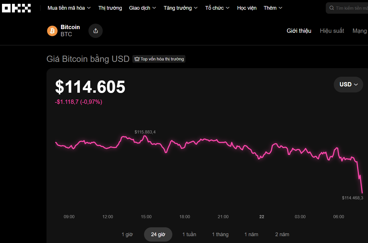 Vietnamese companies emerge as cryptocurrency exchange operators - Ảnh 1.