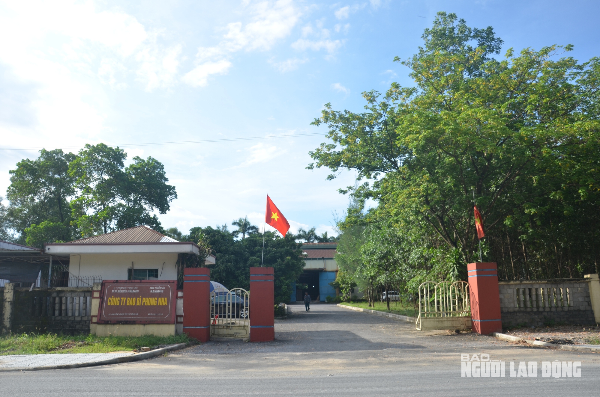 "Lùm xùm" chuyện thoái vốn tại Công ty CP Bao bì Phong Nha- Ảnh 1.