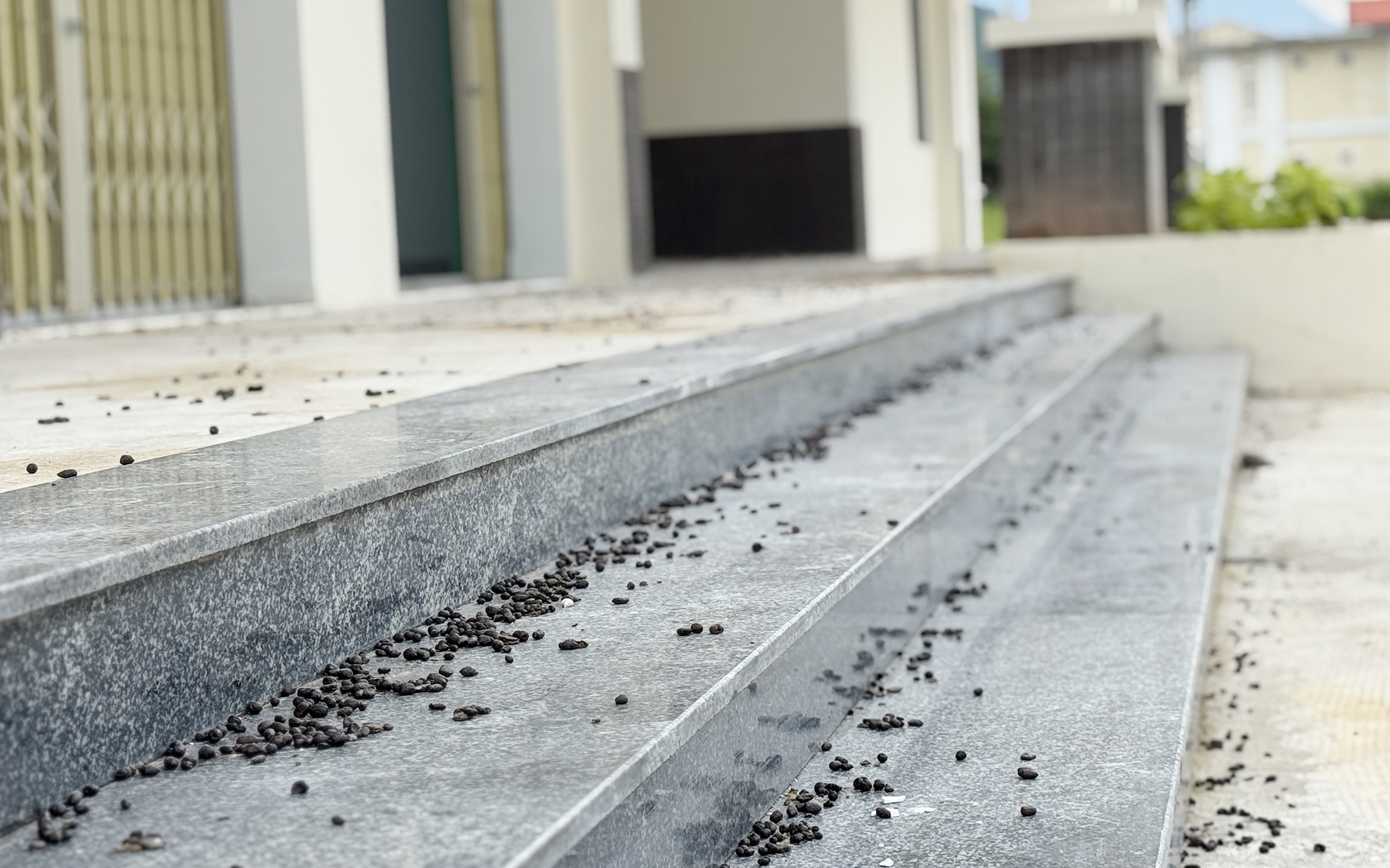 Phường ở Đà Nẵng giải thích lý do xây chợ tiền tỉ xa khu dân cư