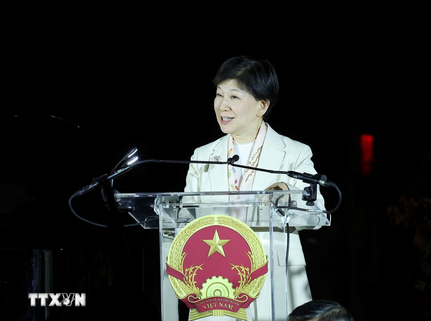 Chủ tịch nước Lương Cường chủ tr&igrave; chi&ecirc;u đ&atilde;i kỷ niệm 80 năm Quốc kh&aacute;nh Việt Nam tại Mỹ - Ảnh 2.