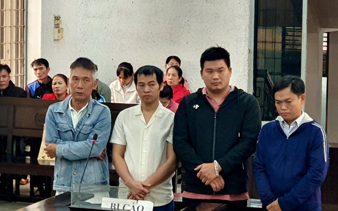 Xét xử vụ án sử dụng hóa chất độc hại để sản xuất giá đỗ, gây xôn xao dư luận