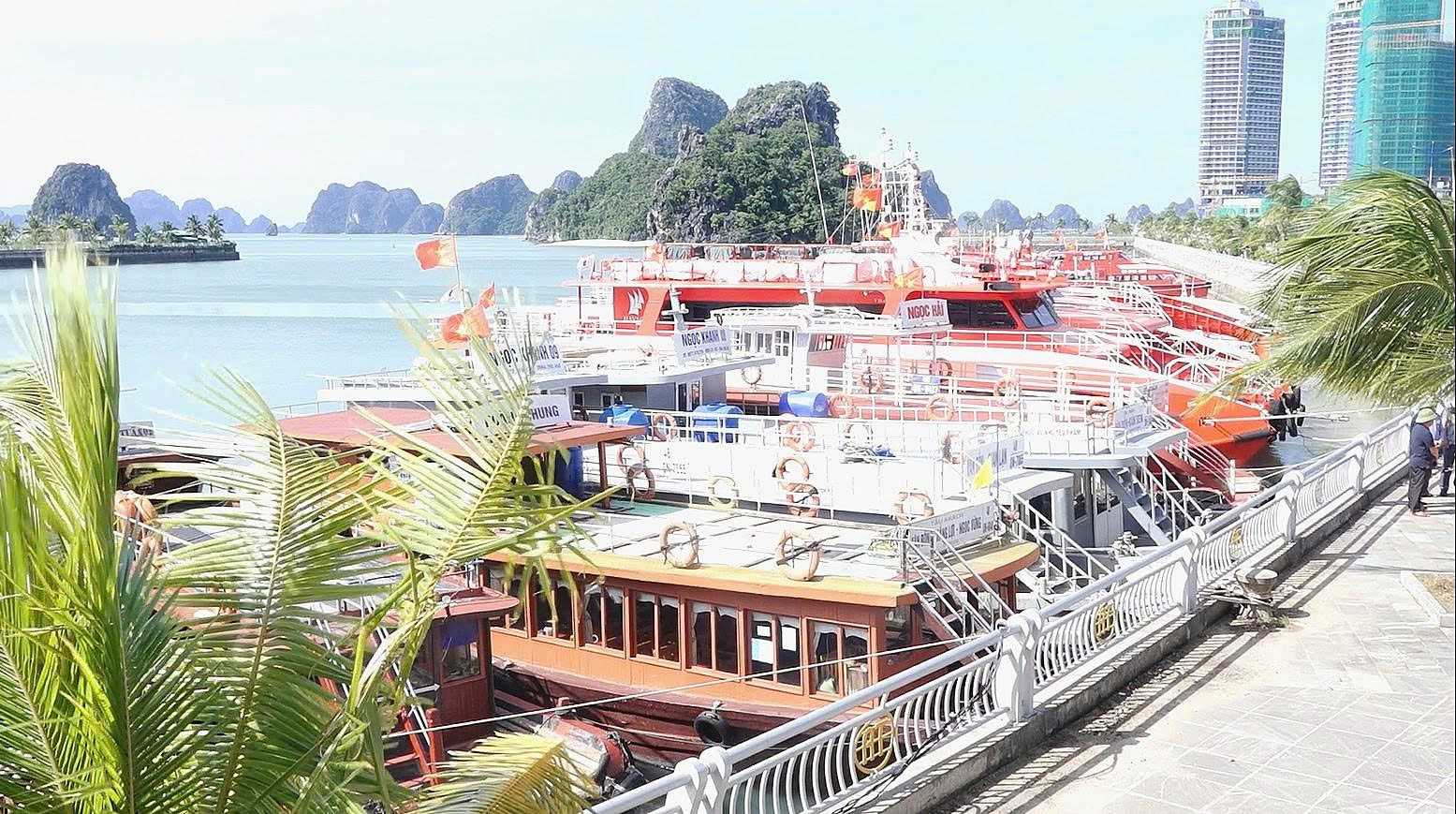 Quảng Ninh huy động lực lượng ứng phó cơn bão số 9 hiệu quả - Ảnh 5.