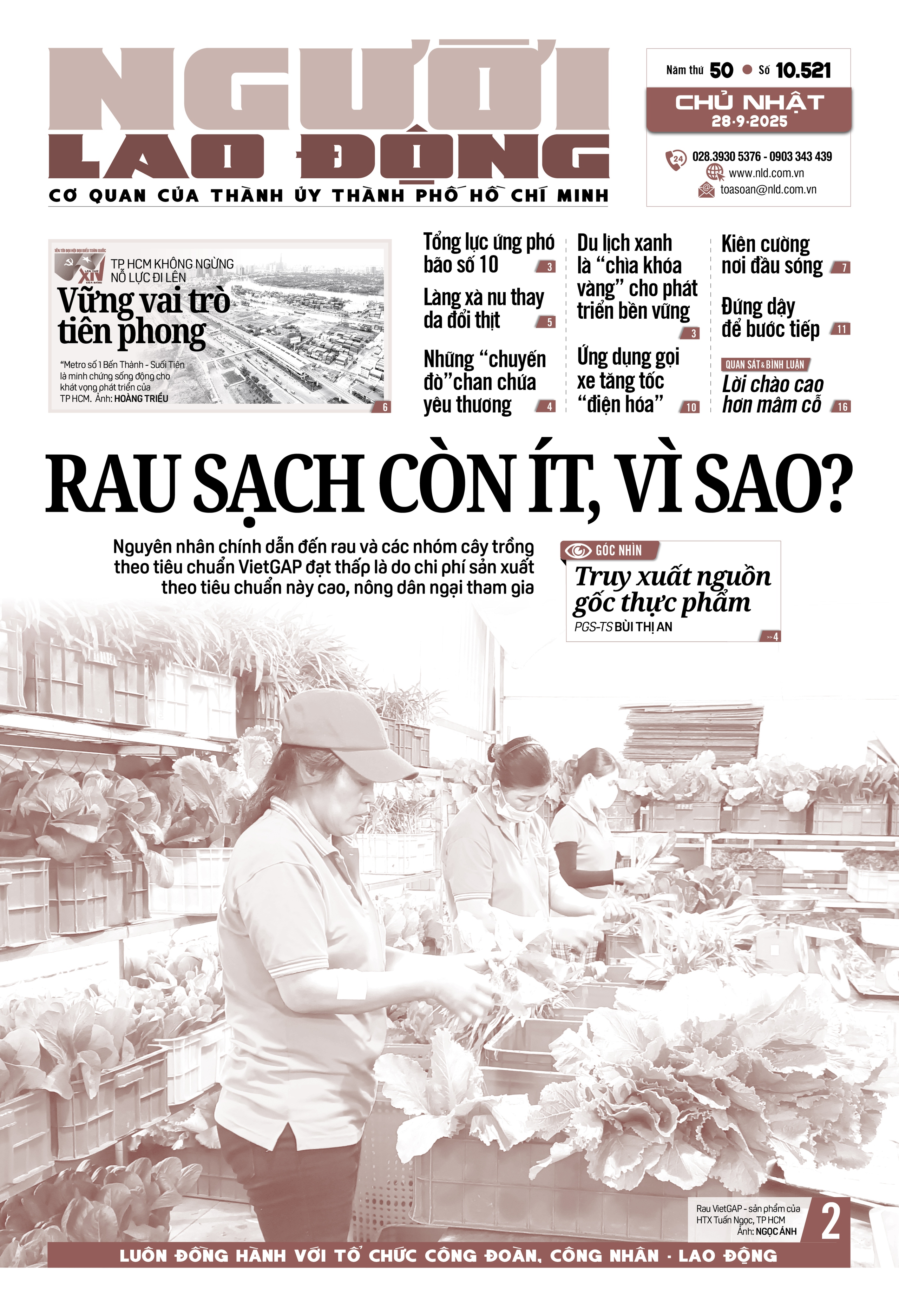Báo in ngày 28-9: Rau sạch còn ít, vì sao? - Ảnh 1.