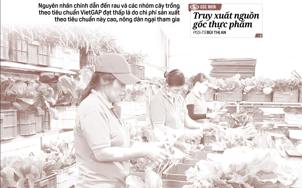 Báo in ngày 28-9: Rau sạch còn ít, vì sao?