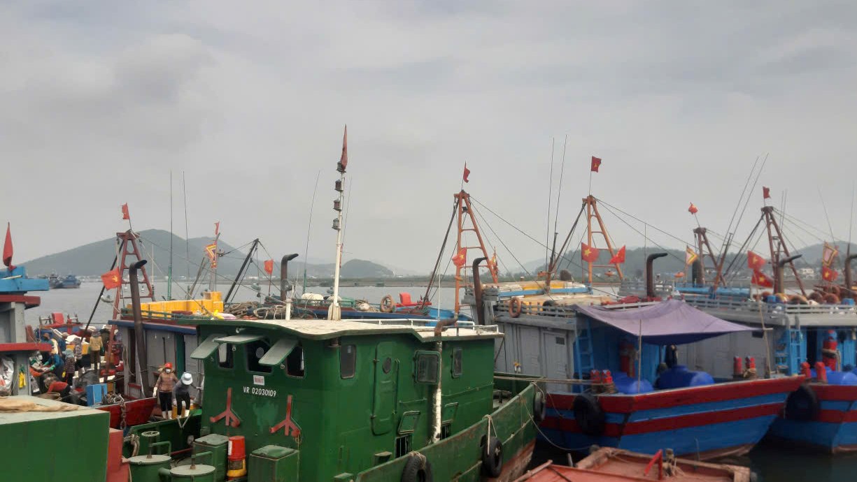 Bão số 10 Bualoi giật cấp 15, sóng biển cao 8-10 m: Hỏa tốc cấm tàu thuyền ra khơi- Ảnh 3.