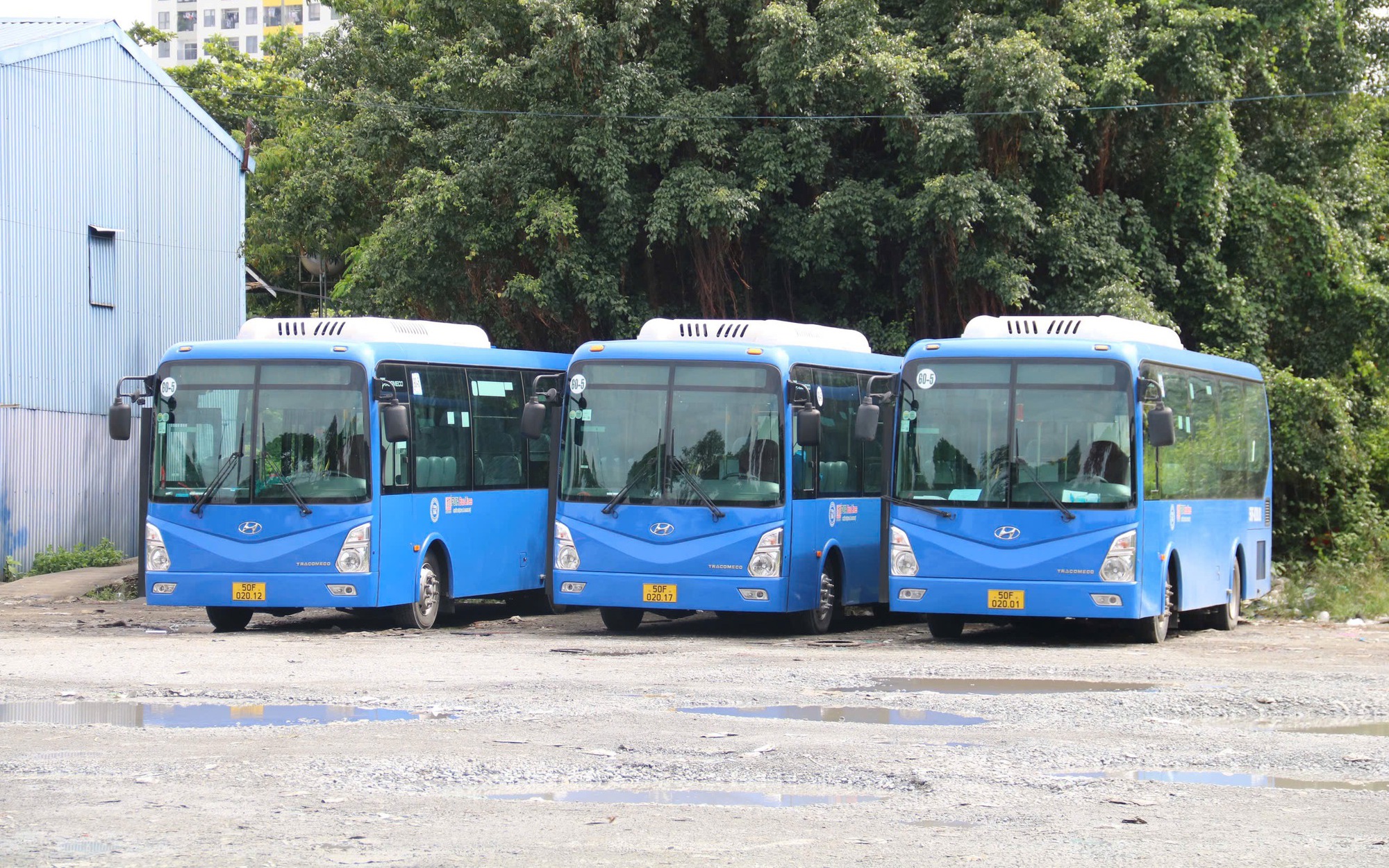 TP HCM nâng cấp giao thông công cộng với 2 tuyến xe mới