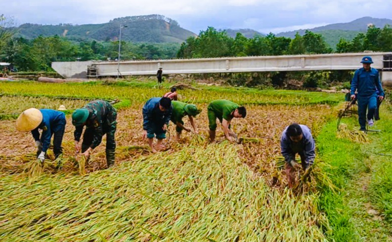 C&ocirc;ng an Thanh H&oacute;a gi&uacute;p d&acirc;n gặt l&uacute;a "chạy" b&atilde;o số 10 Bualoi- Ảnh 4.